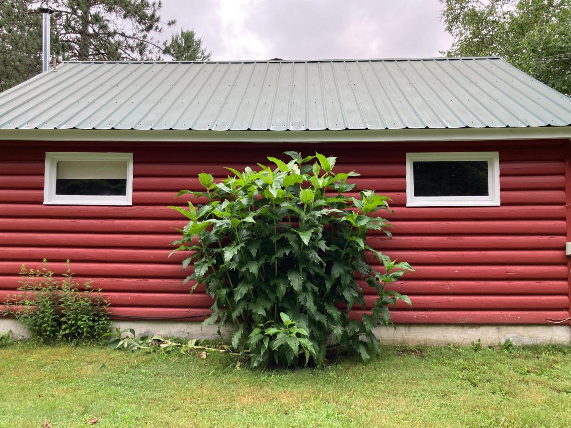 The Lorca Adirondacks Motel Indian Lake Room photo